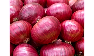 ONIONS