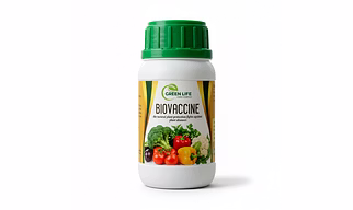 Chitosan Bio Vaccine