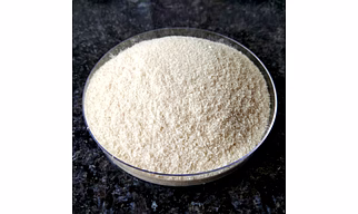 Chitosan Powder