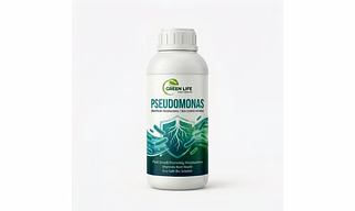 Pseudomonas Bio Fertilizer