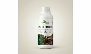 Paecilomyces Bio Fertilizer