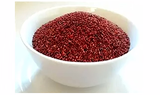 Ragi / Finger Millet
