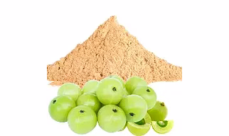 Dehydrated Amla Powder / Indian Gooseberry Powder