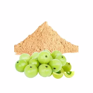 Dehydrated Amla Powder / Indian Gooseberry Powder
