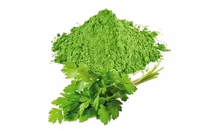 Dehydrated Coriander Powder