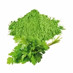 Dehydrated Coriander Powder