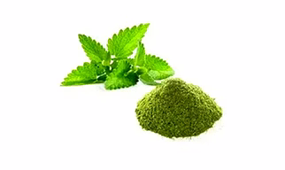 Dehydrated Mint Powder
