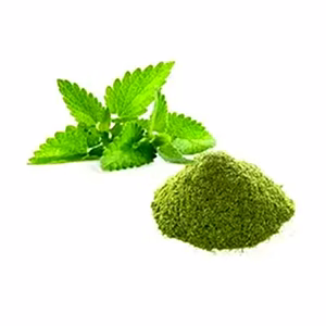 Dehydrated Mint Powder