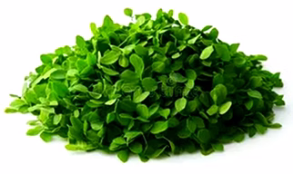 Dried Kasuri Methi Leaves /  Dried Fenugreek Leaves