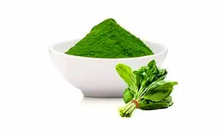 Dehydrated Spinach Powder
