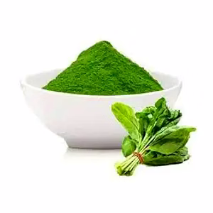 Dehydrated Spinach Powder