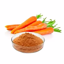 dehydrated carrot powder