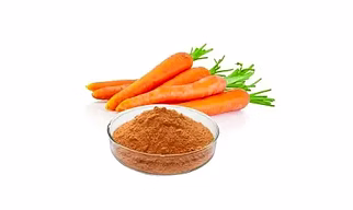Dehydrated Carrot Powder