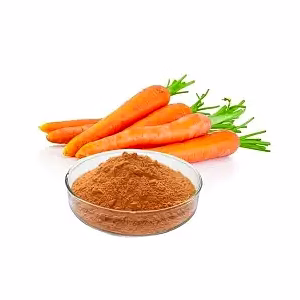 Dehydrated Carrot Powder