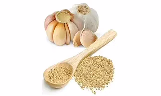 Dehydrated Garlic Powder