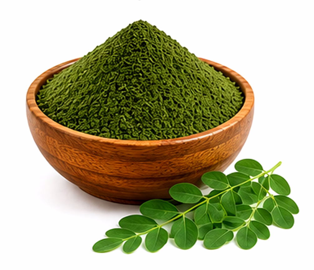 dehydrated moringa leaves powder