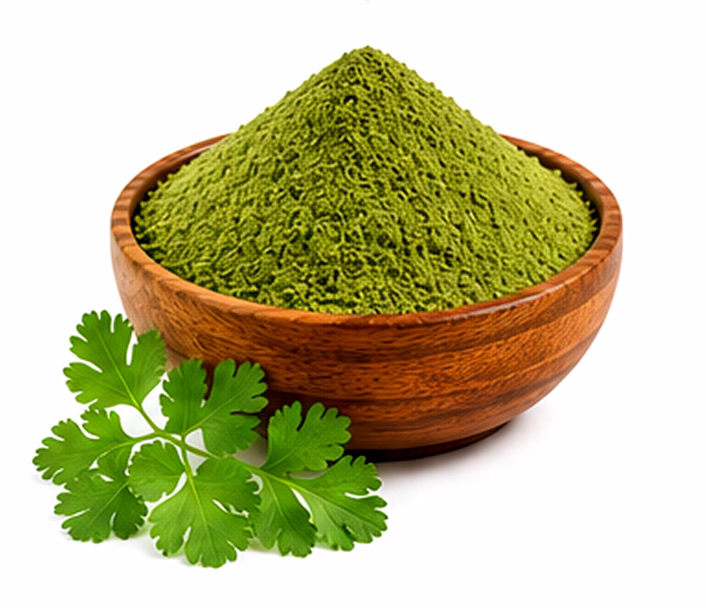 dehydrated coriander powder