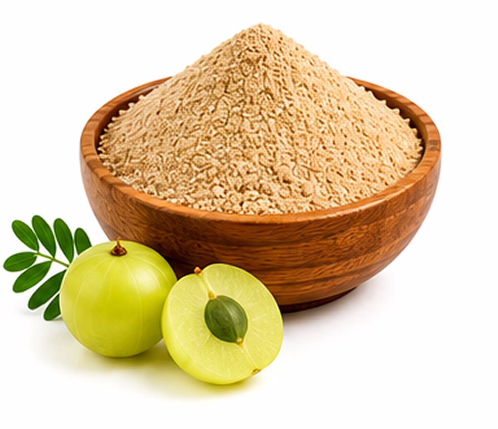 dehydrated amla powder / indian gooseberry powder