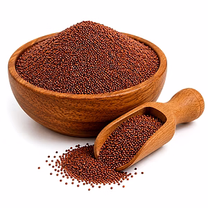 Ragi / Finger Millet