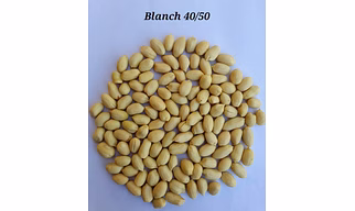 peanuts