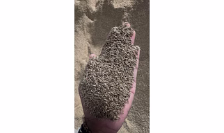 cumin seed/powder