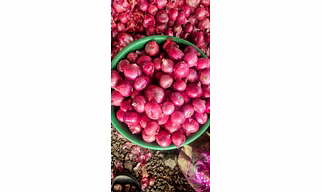 red onion