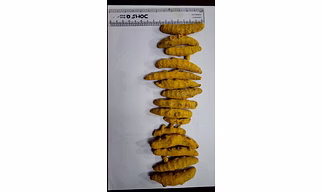 turmeric