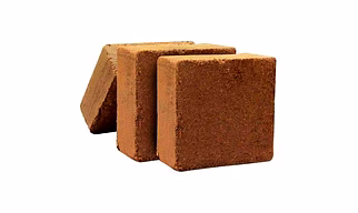 Cocopeat blocks