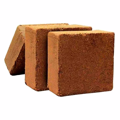 cocopeat blocks