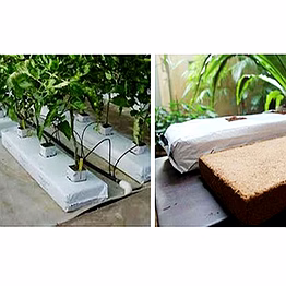 hydroponic cocopeat grow bag