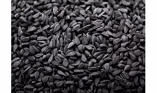 Premium Kalonji Seeds (Nigella Sativa) Export Quality India