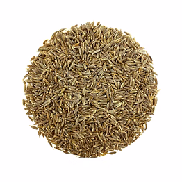 cumin seeds (jeera)