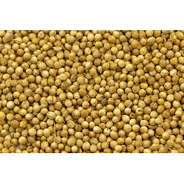 coriander seeds (dhaniya)