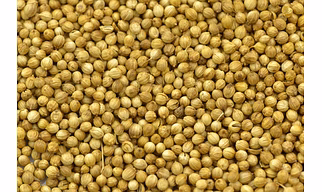 Coriander Seeds (Dhaniya)