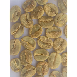 arabica plantation mneb green bean