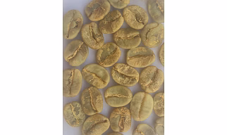 Arabica Plantation MNEB Green Bean