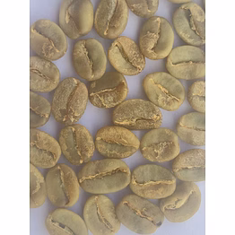 arabica plantation aa green bean (washed)