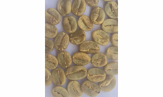 Arabica Plantation A Green Bean (Washed)