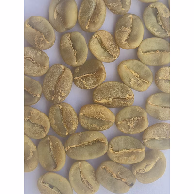 arabica plantation a green bean (washed)