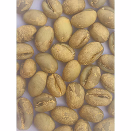 arabica plantation pb green bean (washed)