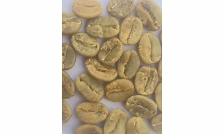 Arabica Plantation B Green Bean  (Washed)