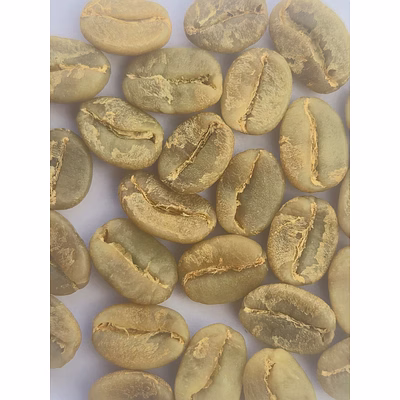 arabica plantation b green bean (washed)