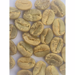 arabica plantation c green bean (washed)