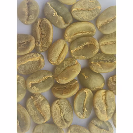 arabica plantation green bean bulk (washed)