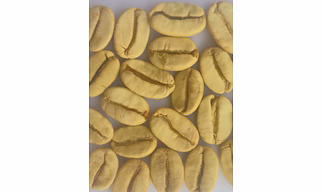 Monsoon Malabar Green Bean (Unwashed)