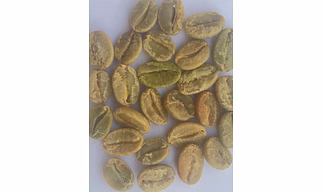 Arabica Cherry AA Green Bean (Unwashed)