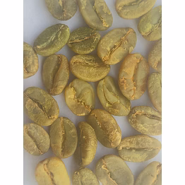 arabica cherry bulk green bean (unwashed)