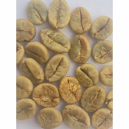 robusta kappi royale green bean (washed)