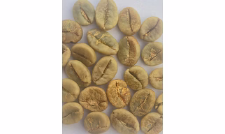Robusta Kappi Royale Green Bean (Washed)