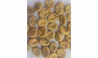 Robusta Parchment A Green Bean (Washed)